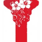 Key Blanks. Red Hibiscus image printed on a key blank. Key Blanks. Red Hibiscus image printed on a key blank.