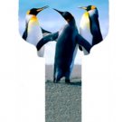 Key Blanks. Penguin image printed on a key blank.