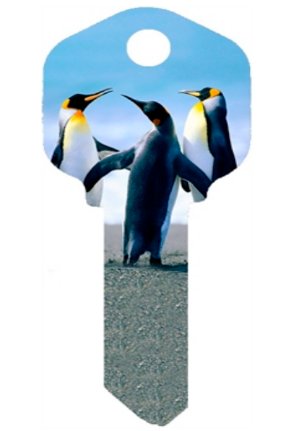 Key Blanks. Penguin image printed on a key blank.