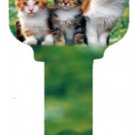 Key Blanks. Kittens image printed on a key blank.