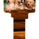 Key Blanks. Kittens image printed on a key blank.