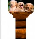 Key Blanks. Puppies image printed on a key blank.