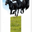 Key blanks. Horses image printed on a house key blank.