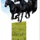 Key blanks. Horses image printed on a house key blank.