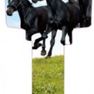 Key blanks. Horses image printed on a house key blank.