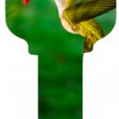 Key blanks. Hummingbirds image printed on a house key blank.