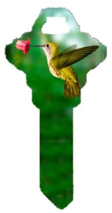 Key blanks. Hummingbirds image printed on a house key blank.