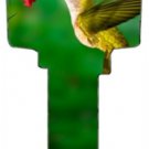 Key blanks. Hummingbirds image printed on a house key blank.
