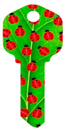 Key blanks. Lady Bug image printed on a house key blank.
