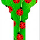 Key blanks. Lady Bug image printed on a house key blank.