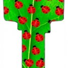 Key blanks. Lady Bug image printed on a house key blank.