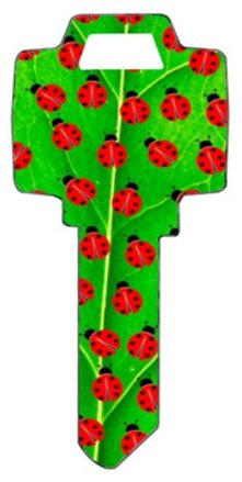 Key blanks. Lady Bug image printed on a house key blank.