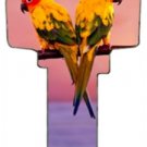 Key Blanks. Parrots image printed on a house key blank.