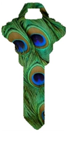 Key Blanks. Peacock image printed on a house key blank.