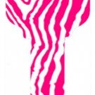 Key Blanks. Pink Zebra image printed on a house key blank