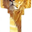 Key Blanks. Lion image on house Key Blank