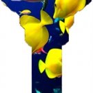 Key Blanks. Fish image on house Key Blank