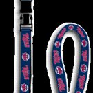 LANYARD. MLB - MINNESOTA TWINS LANYARDS