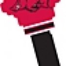 Key Blank. NCAA Key blank - ARKANSAS RAZORBACKS image on house Key.