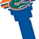 Key Blanks. NCAA Key blank - FLORIDA GATORS image on house Key.