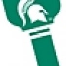 Key Blanks. NCAA Key blank MICHIGAN STATE SPARTANS image on house Key.