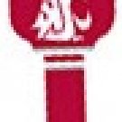 Key Blanks. NCAA Key blank WASHINGTON STATE COUGARS image on house Key.