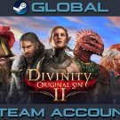 Divinity: Original Sin 2 - Divine Edition [Steam Account] Region Free PC