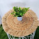 Tassel Placemats Water Hyacinth Wall Decoration Home Decor
