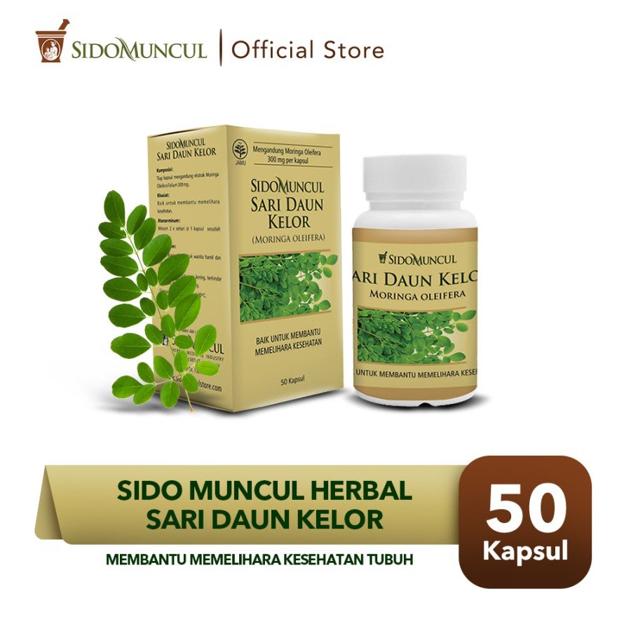 1 Box Sido Muncul Sari Leaf Moringa 50'k - Lowers Cholesterol Blood Sugar