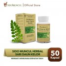 1 Box Sido Muncul Sari Leaf Moringa 50'k - Lowers Cholesterol Blood Sugar