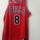 NIKE NBA authentic Chicago bulls swingman jersey Zach Lavigne XL