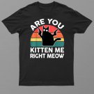 Black Cat Shirt Are You Kitten Me Right Meow Cute Cat Lover Shirt