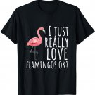 Flamingo Design I Just Really Love Flamingos Ok? T-Shirt