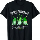 Shenanigans Coordinator St Patricks Day Gnomes Shamrock T-Shirt
