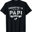 Mens Promoted to Papi Est 2022 Father's Day Tee T-Shirt