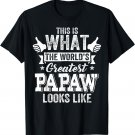 This Is What Awesome The World's Greatest Papaw Looks Like T-Shirt