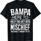 Bampa Tee Shirt from Grandchildren Funny Grandfather Bampa T-Shirt