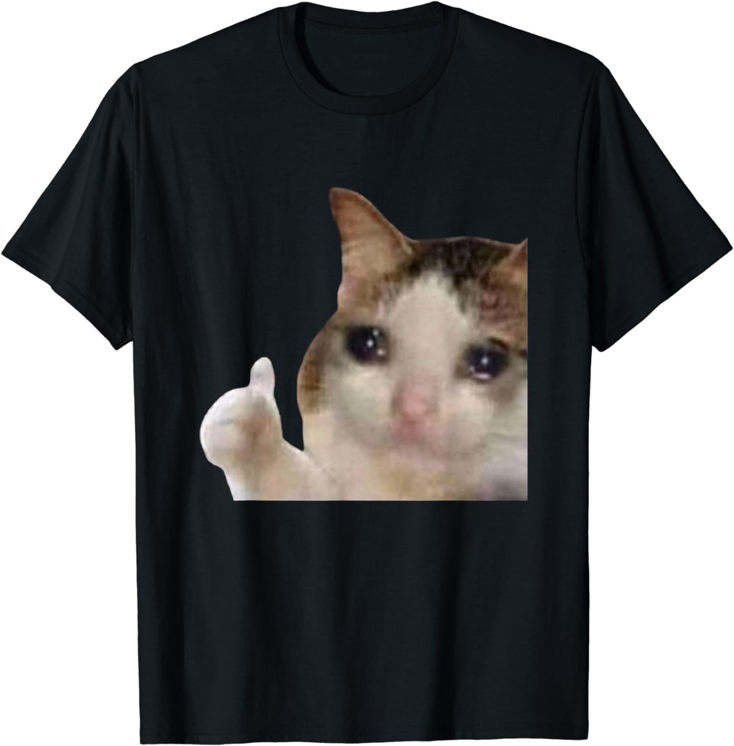Funny Cute Crying Cat Sad Tears Thumbs Up Meme Gen Z Humor T-Shirt