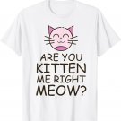 Are You Kitten Me Right Meow - Funny and Cute Cat Gift T-Shirt