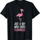 Just a Boy Who Loves Flamingos T-Shirt