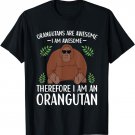 Orangutans Are Awesome Cute Orangutan Quote Kids T-Shirt