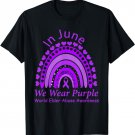 Rainbow Awareness In June We Wear Purple World Elder Abuse T-Shirt