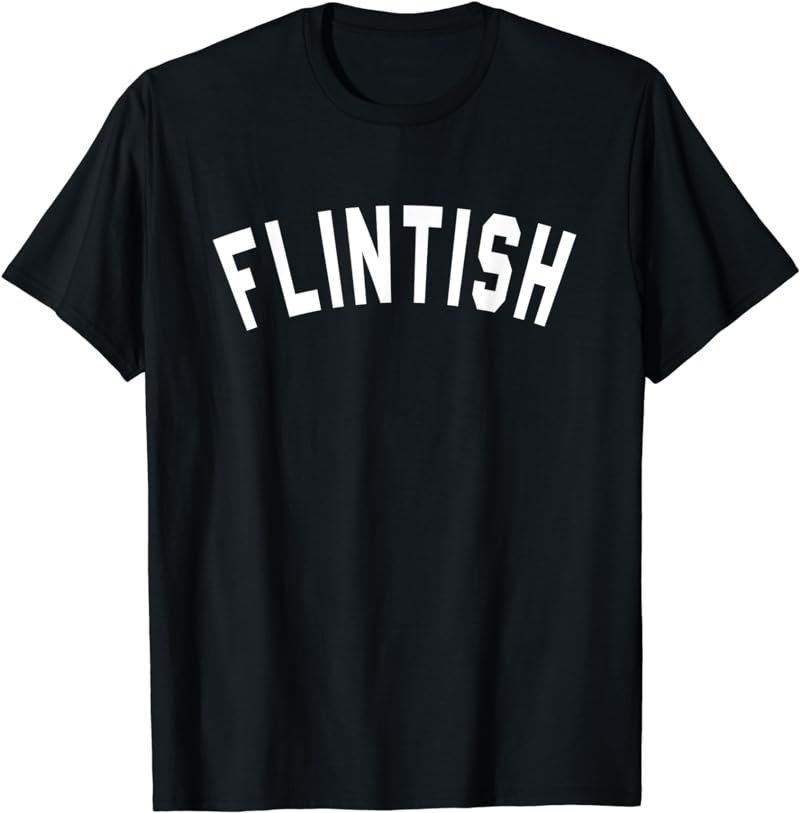 Flint MI Flintish Funny City Michigan MI Humor T shirt