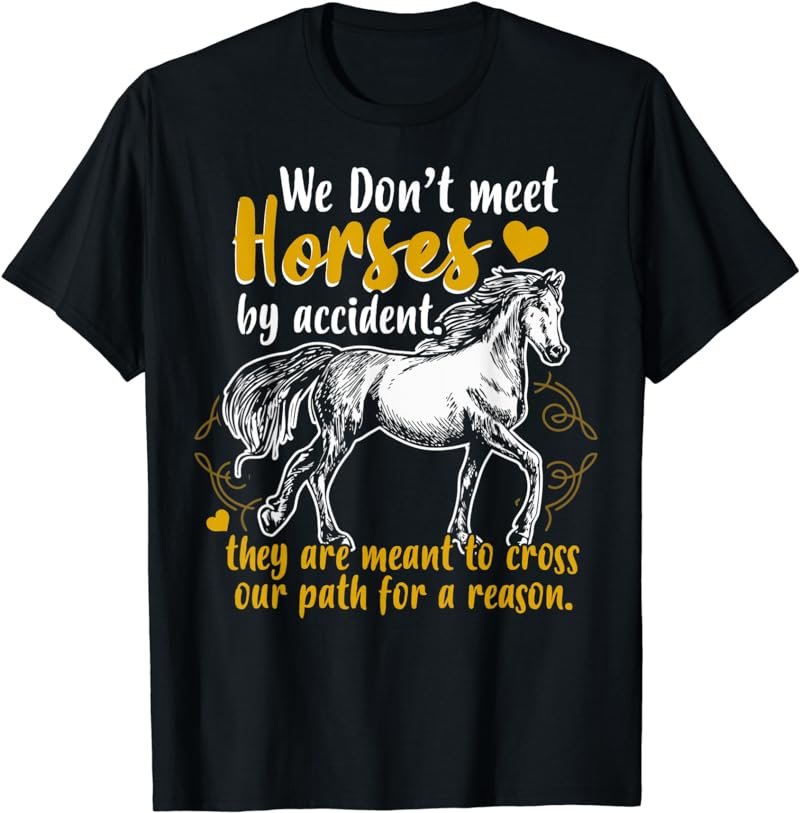 We Don't Meet Horses By Accident T-Shirt