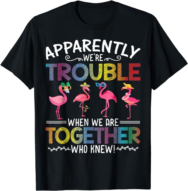 Flamingo Apparently We're Troubles When We are Togethers T-Shirt