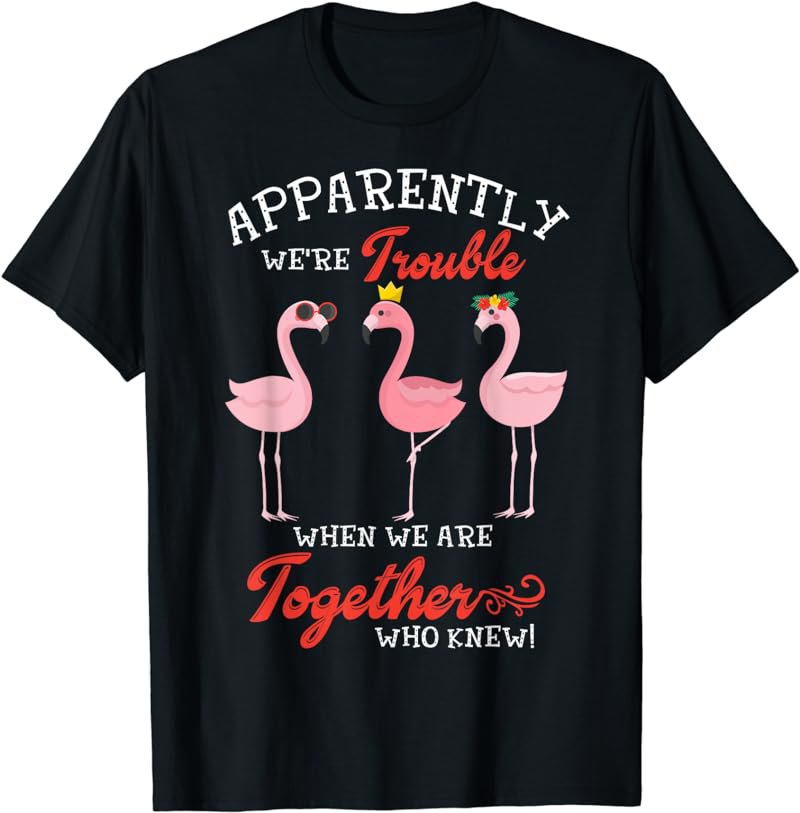 Apparently We're Trouble When We Are Together Who Knew Shirt