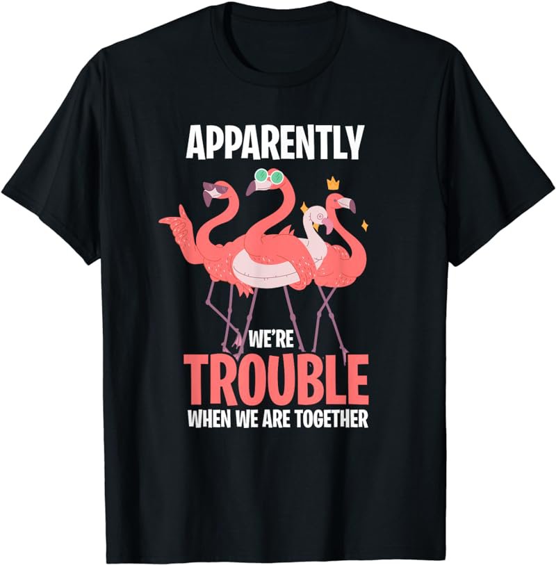 Apparently Were Trouble When We Are Together Funny Flamingo T-Shirt