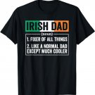 Irish Dad Noun Funny ireland Heritage for Men T-Shirt