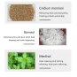 Herbal Eczmea Antibacterial Dermatitis Psoriasis Cream Anti-itch Skin Allergy Ringworm Itching