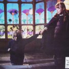 HOUSE BY THE CEMETERY 1981 LUCIO FULCI - 8 LOBBY-CARDS HOUSE BY THE CEMETERY 1981 LUCIO FULCI - 8 LOBBY-CARDS